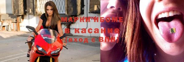 стафф Аркадак