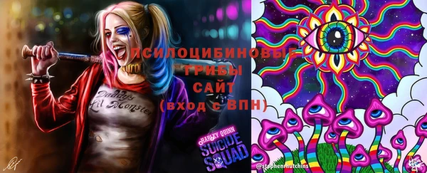 ALPHA PVP Армянск