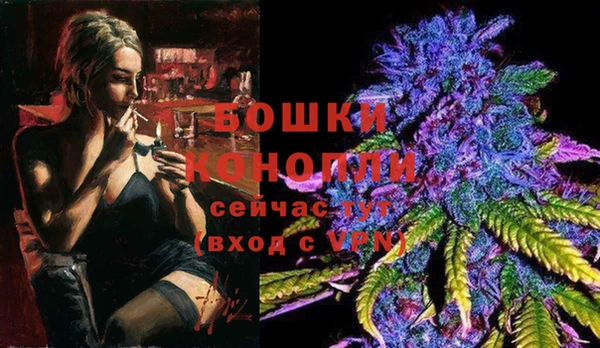 стафф Аркадак