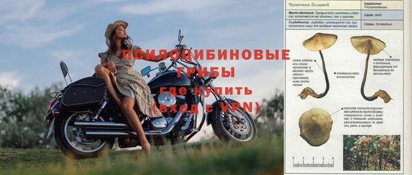 а пвп мука Арсеньев