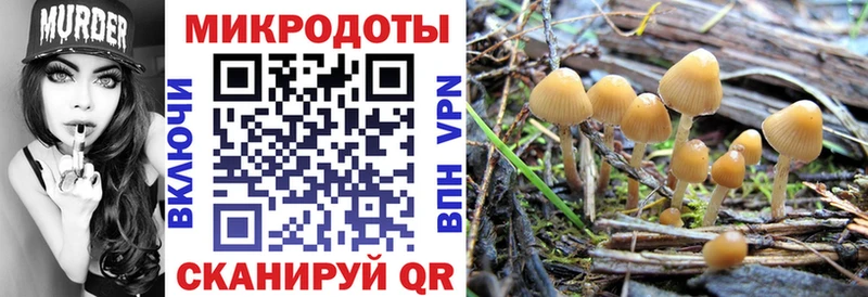 Галлюциногенные грибы GOLDEN TEACHER  Купить закладки  Верея 