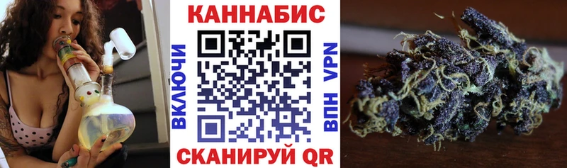 Купить закладки  Верея  Бошки марихуана семена 